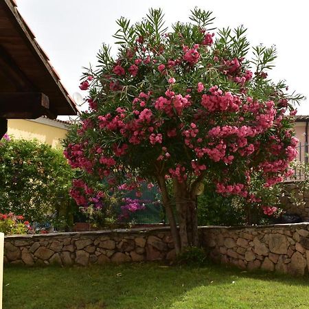 Splendida Villetta Tavolara 1 Vaccileddi Luaran gambar