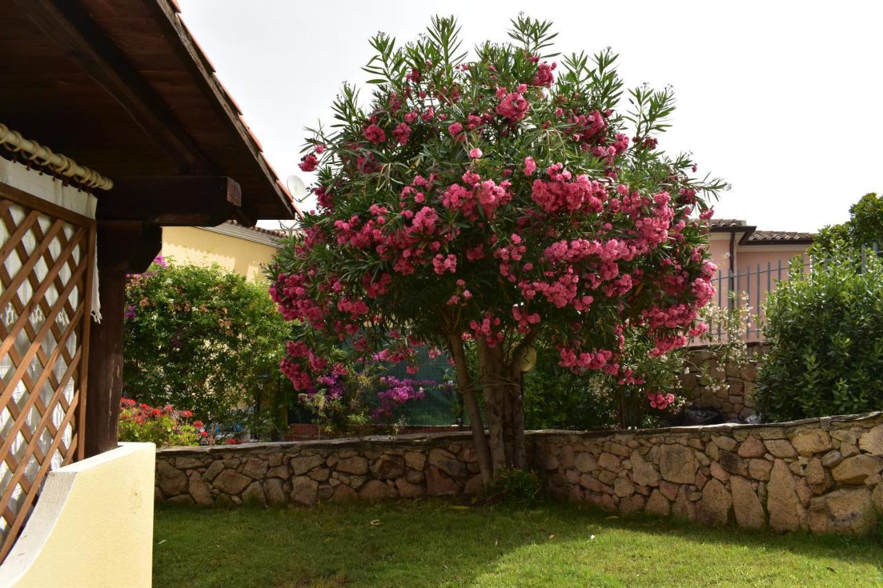 Splendida Villetta Tavolara 1 Vaccileddi Luaran gambar